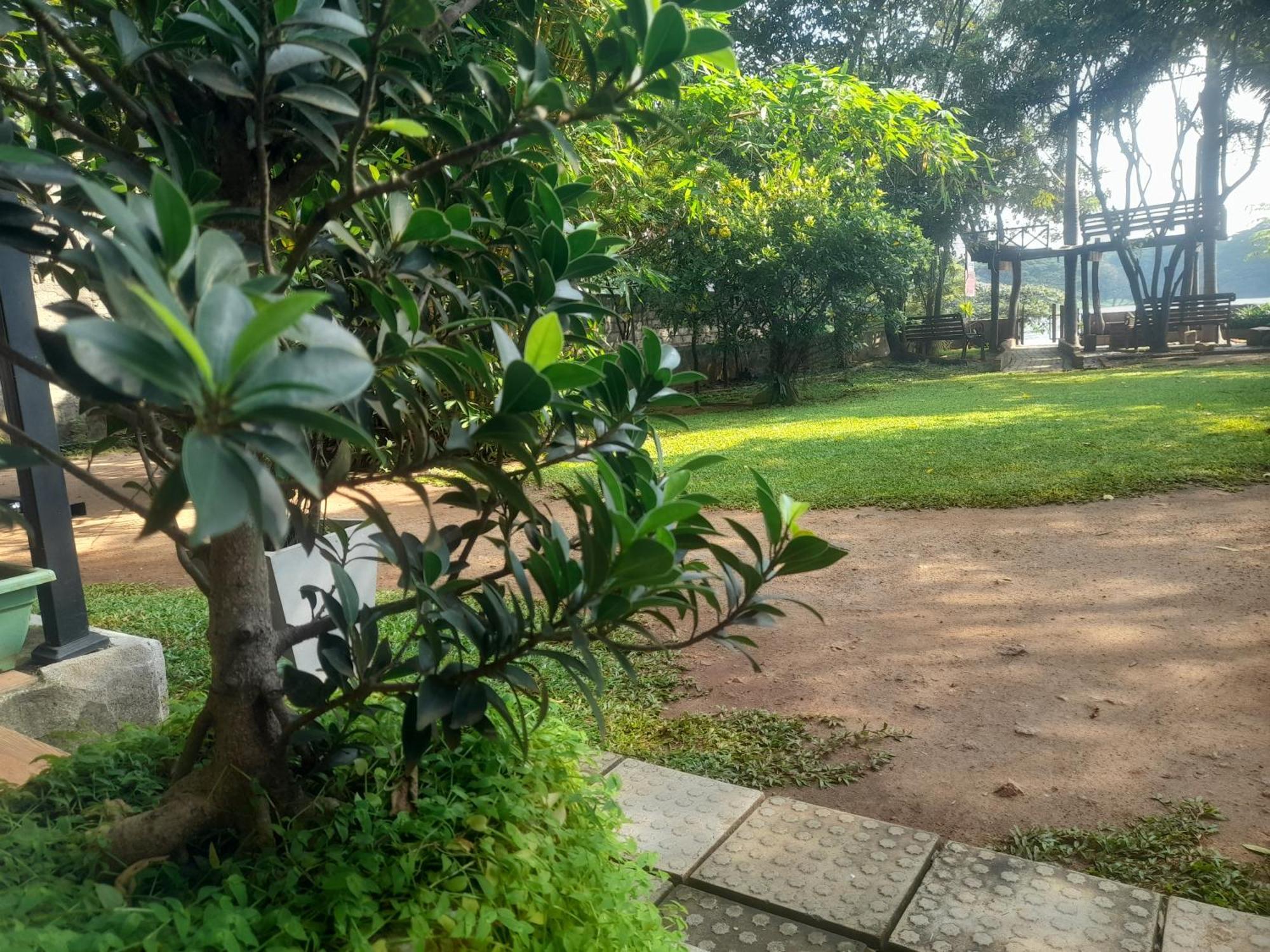 Shashin Lake Resort Dambulla Exterior foto